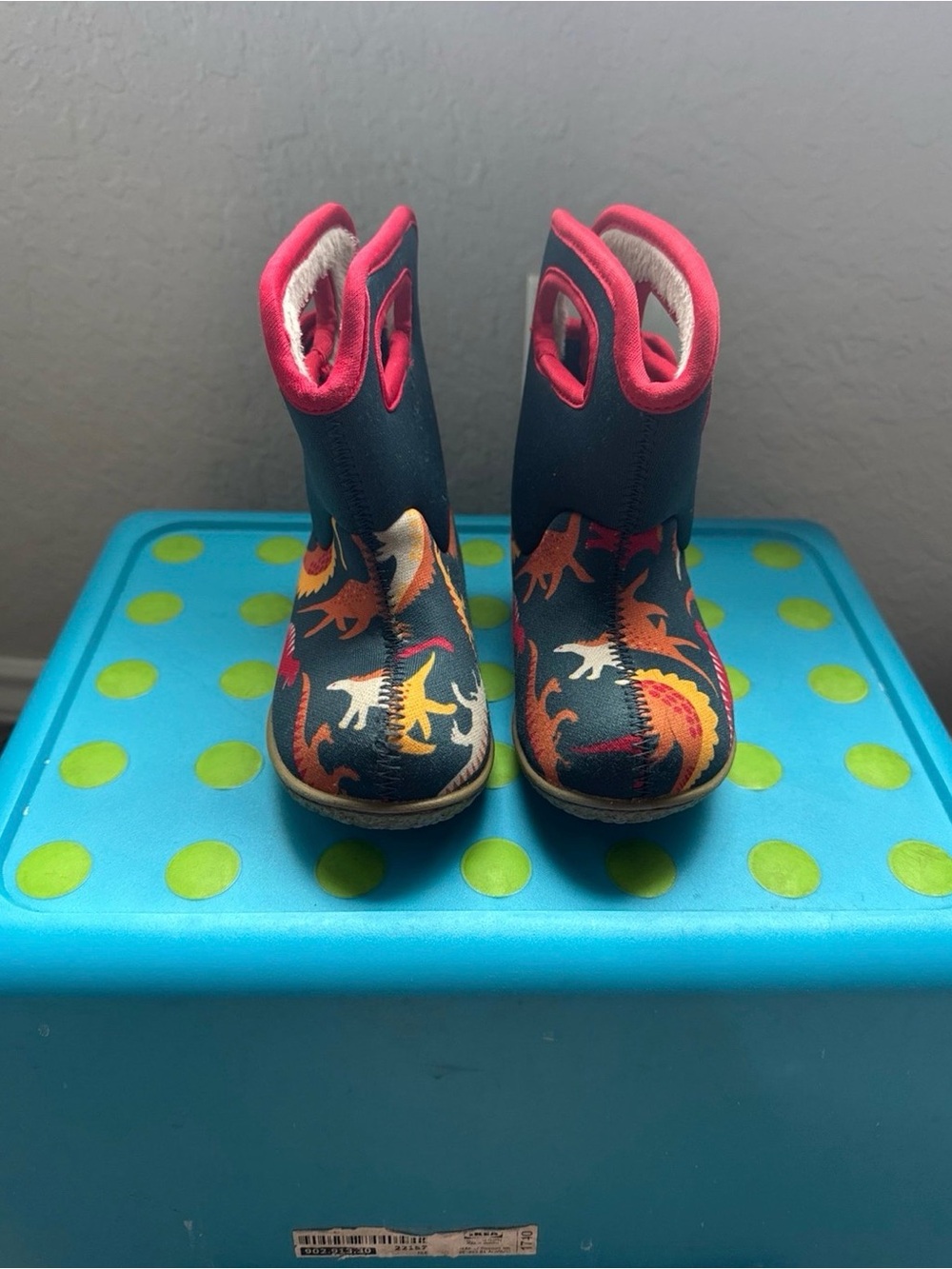 Bogs dinosaur snow boots